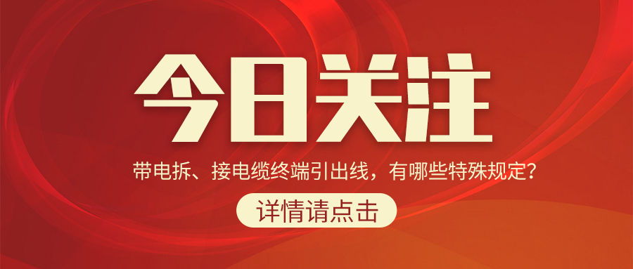 带电拆、接电缆终端引出线，有哪些特殊规定？